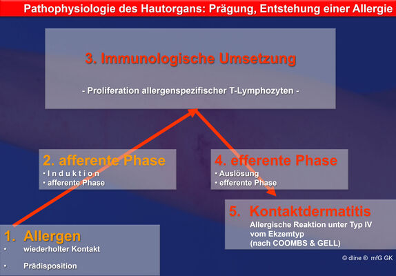 Kontaktallergie Entstehung eigene